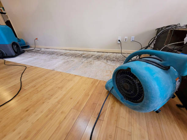 Professional Sewage Cleanup technician working in Mount Airy, NC
